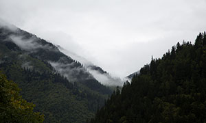 霧氣繚繞如云海的山谷風景攝影原片