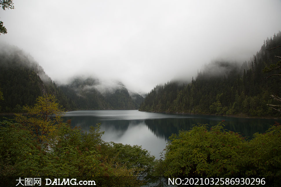 霧氣瀰漫山水樹木風景攝影原片素材