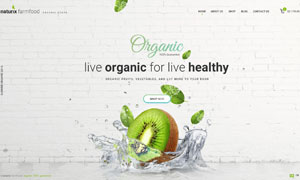 蔬果生鲜食品电商网站设计模板素材