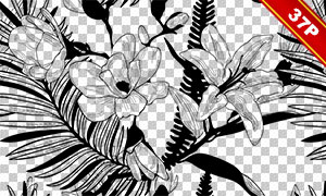 黑白手绘花朵植物免抠图案背景素材