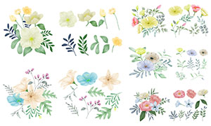 水彩手繪效果花卉植物主題矢量素材