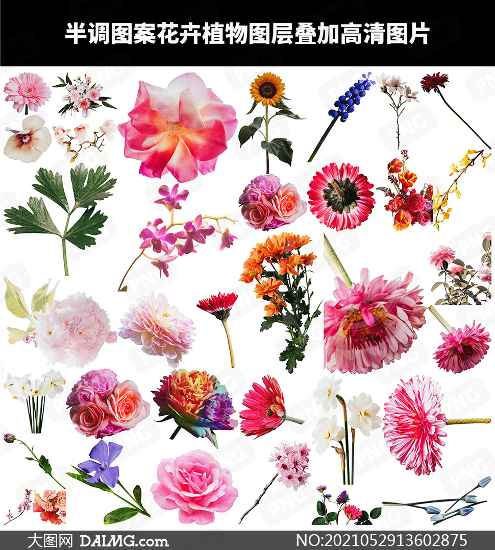 半调图案花卉植物图层叠加高清图片_大图网图片素材