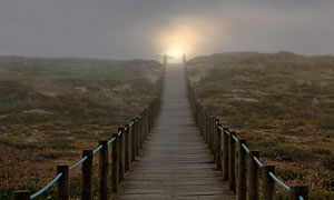 清晨雾气蒙蒙的木桥摄影图片