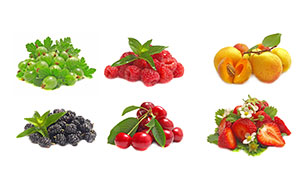 桑葚草莓与樱桃等水果摄影高清图片
