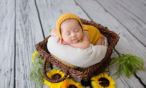 籃子里睡著的可愛寶寶攝影高清圖片