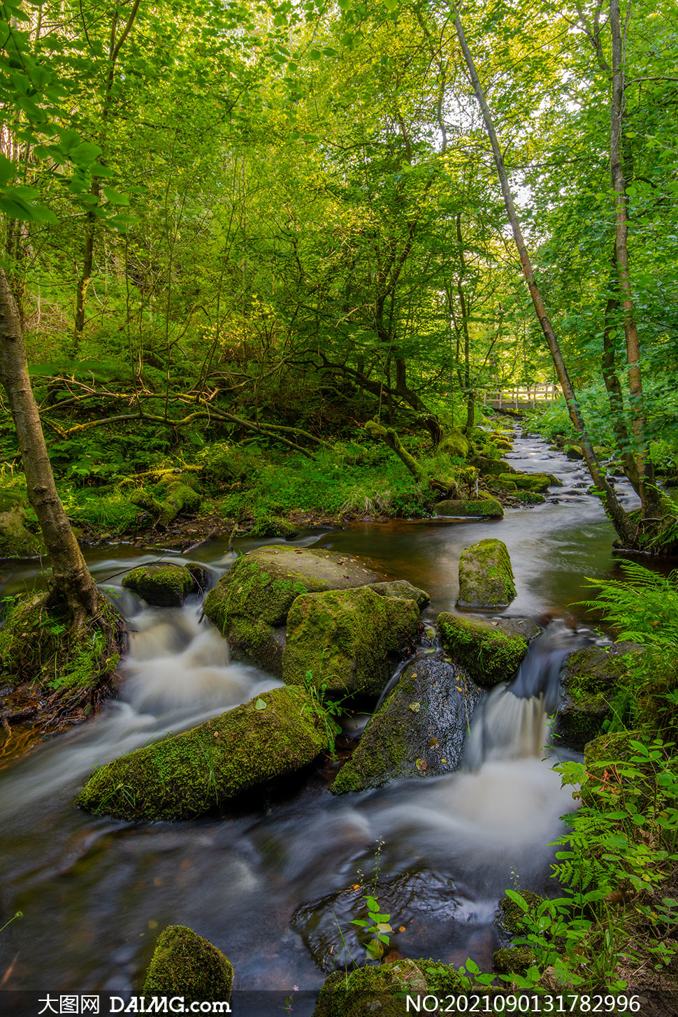 树林间的河流岩石风景摄影高清图片_大图网图片素材