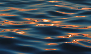 阳光下泛着波光的水面摄影高清图片