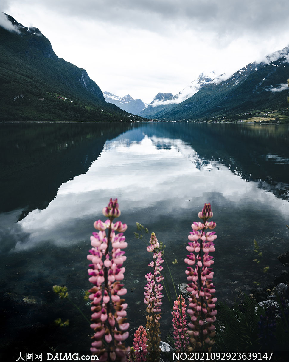 湖光山色与水边的鲜花摄影高清图片