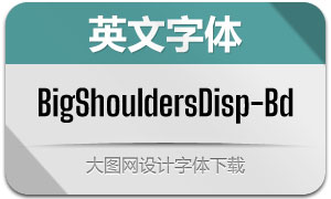 BigShouldersDisp-Bd(Ӣ)