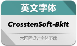 CrosstenSoft-BlackIt(Ӣ)