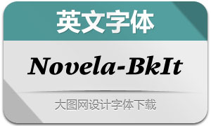 Novela-BlackItalic(Ӣ)