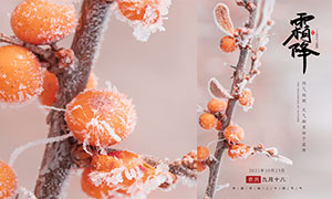 结霜的树枝主题霜降节气海报PSD素材