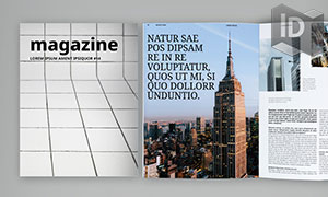 多种用途适用杂志期刊版式设计模板