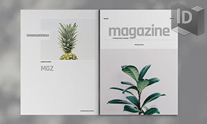 自然植物等杂志画册版式模板源文件