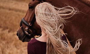 牵着一匹马的金发美女摄影高清图片