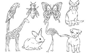 鸚鵡與兔子等手繪素描動物矢量素材