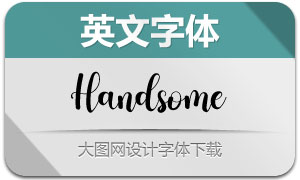 Handsome(Ӣ)