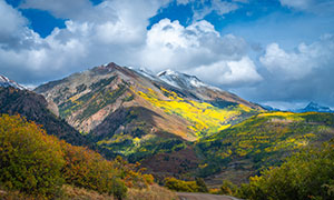 山間道路花草植物風景攝影高清圖片