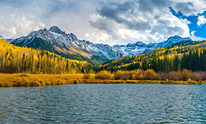 秋天茂密树林湖光山色摄影高清图片