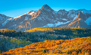 雪山与茂密的秋天树林摄影高清图片
