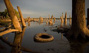 水面上的枯木輪胎風景攝影高清原片