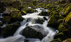 山間溪流與滿是青苔的巖石攝影圖片