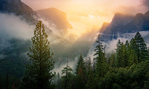 陽光霧氣籠罩山谷風光攝影高清圖片