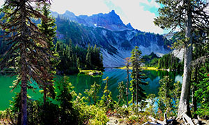 雷尼爾山國家公園湖光山色攝影圖片