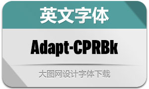 Adapt-CompBk(Ӣ)