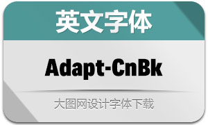 Adapt-CnBk(Ӣ)