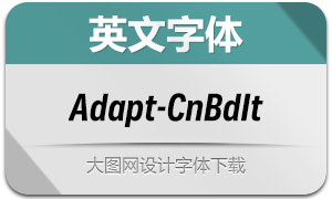 Adapt-CnBdIt(Ӣ)