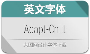 Adapt-CnLt(Ӣ)