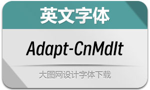 Adapt-CnMdIt(Ӣ)