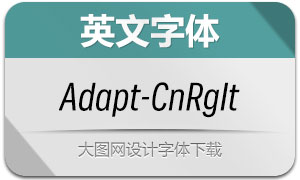 Adapt-CnRgIt(Ӣ)