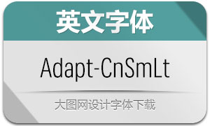 Adapt-CnSmLt(Ӣ)