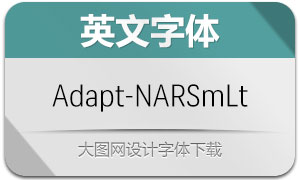 Adapt-NarrowSmLt(Ӣ)