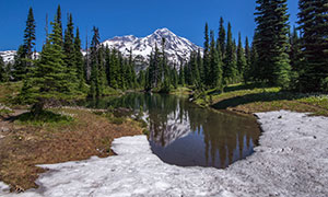 藍天雪山樹林湖泊風光攝影高清圖片