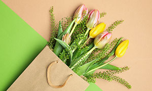 纸质手提袋里的郁金香花朵摄影图片