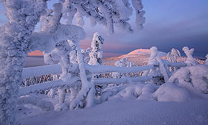 雪后银装素裹自然风景摄影高清图片