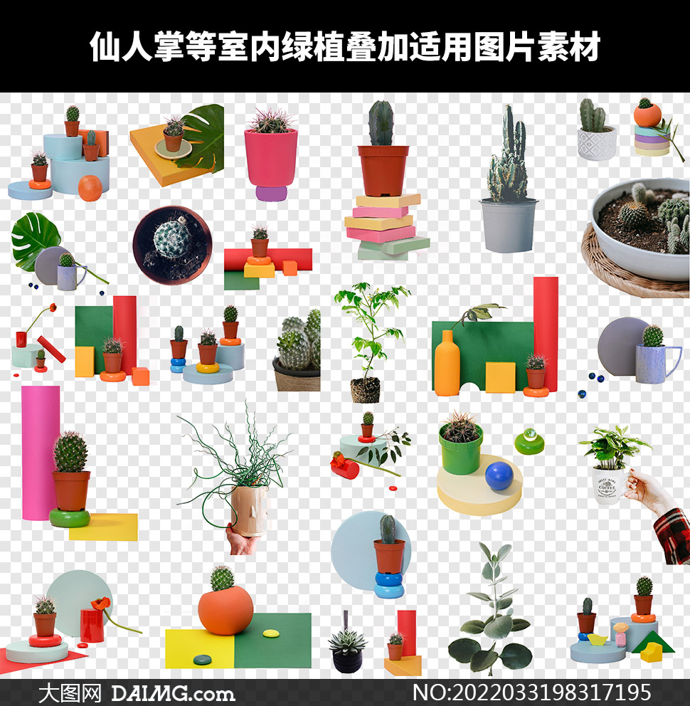 仙人掌等室内绿植叠加用图片素材v01