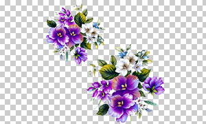 鲜艳紫色花朵装饰元素免抠图片素材