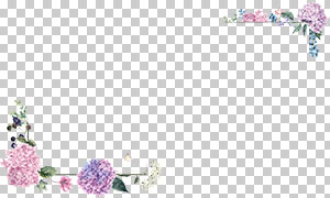 绣球花等植物元素装饰免抠图片素材