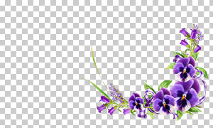 丝带装饰紫色花朵藤蔓边框免抠素材
