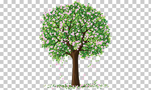开出粉色小花朵的大树免抠图片素材