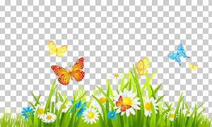 在花草丛中徘徊的蝴蝶免抠图片素材