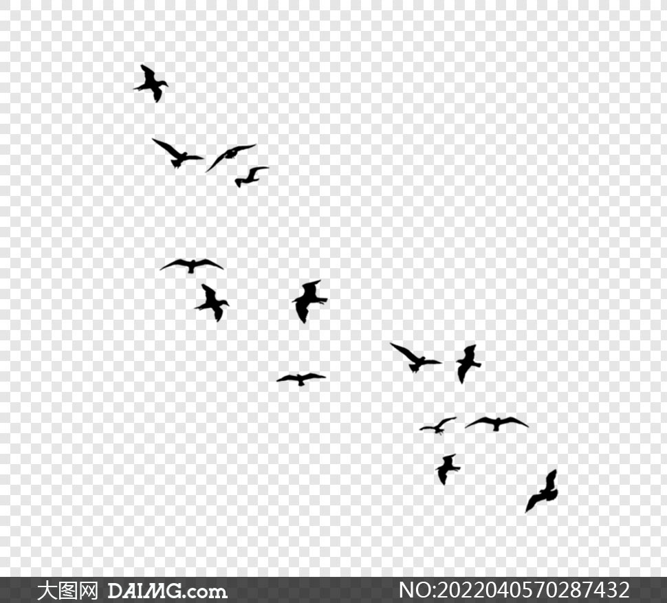 飞鸟抠图素材图片