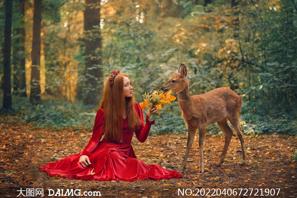 林中给小鹿喂食树叶的美女摄影图片