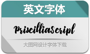 PriscilliaScript-Medium(Ӣ)