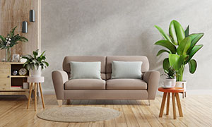 沙发抱枕与绿植等家居物品渲染图片