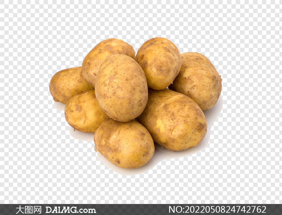 新鲜带泥的几个小土豆免抠图片素材